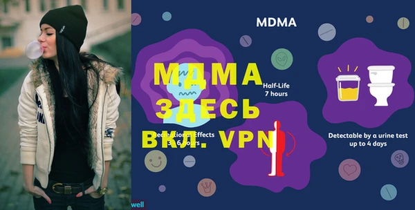 молекула духа Вяземский