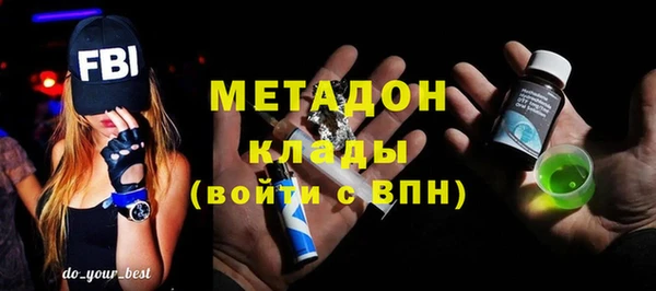 молекула духа Вяземский