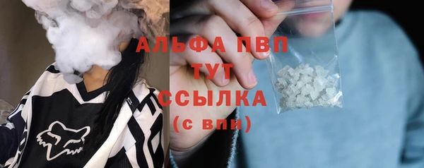 молекула духа Вяземский