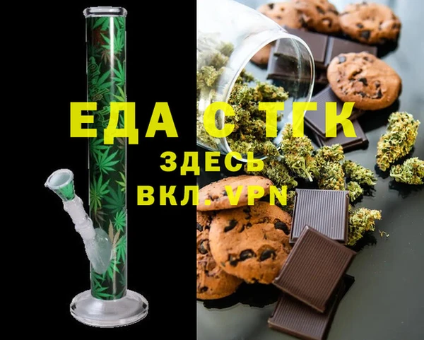 молекула духа Вяземский