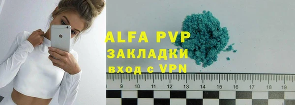молекула духа Вяземский