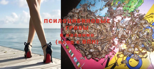прущие крисы Сатка