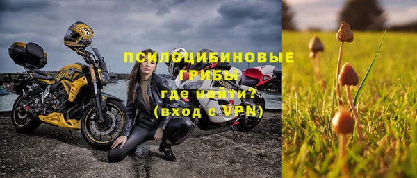 молекула духа Вяземский