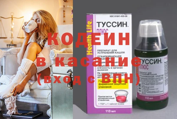 молекула духа Вяземский