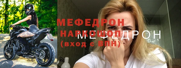 молекула духа Вяземский