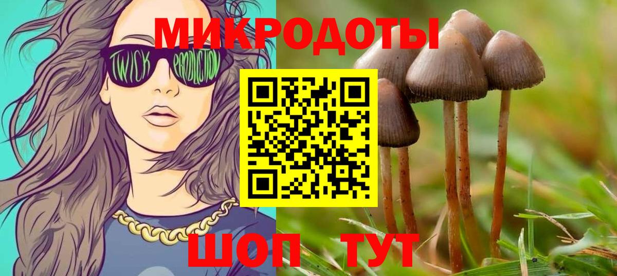 Вичуга  Галлюциногенные грибы Cubensis  Псилоцибиновые грибы прущие грибы  Вход с VPN 
