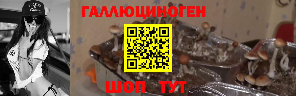 Галлюциногенные грибы мухоморы Вичуга